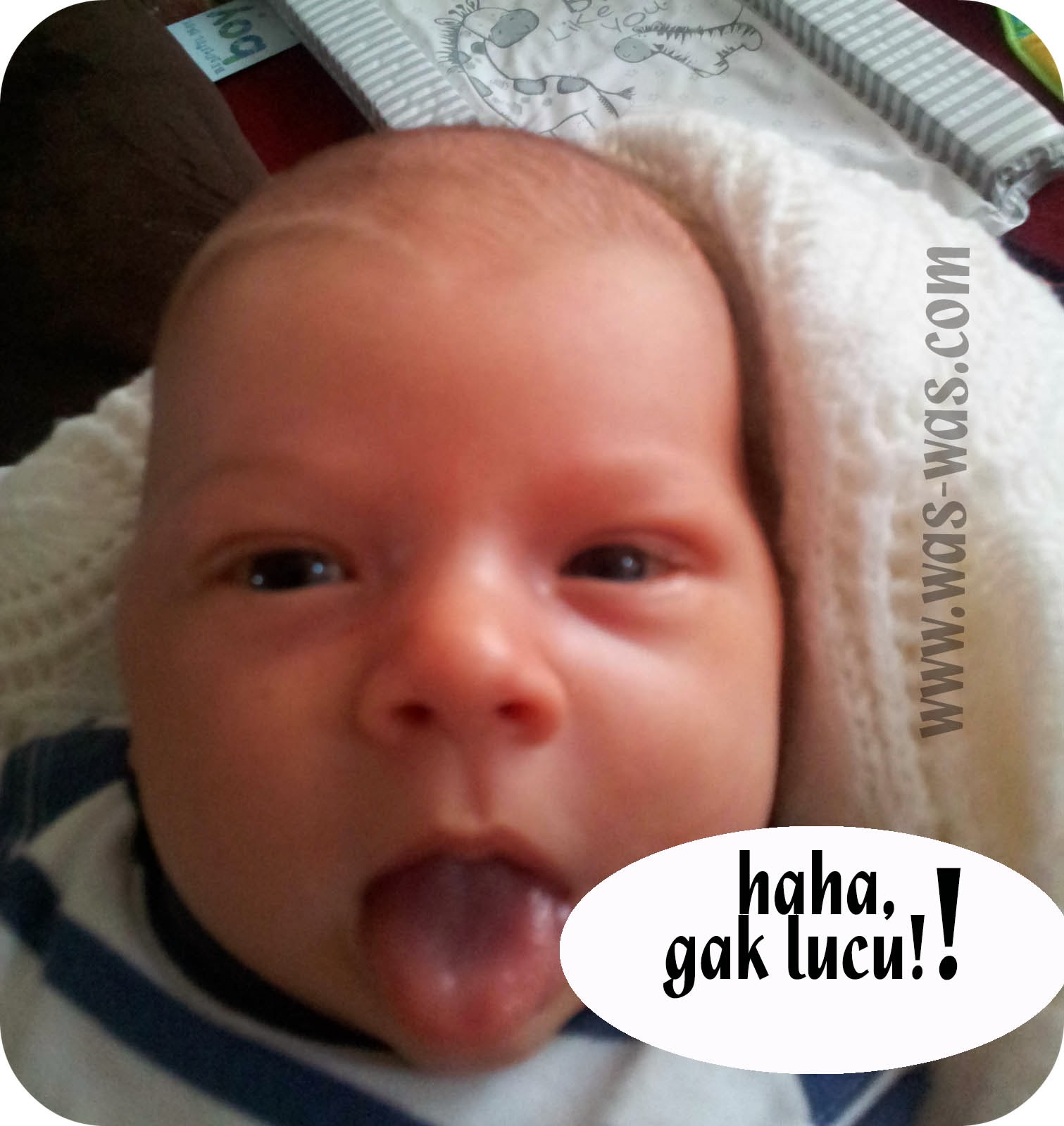 Download Koleksi Gambar Gambar Lucu Buat Komentar Di Facebook
